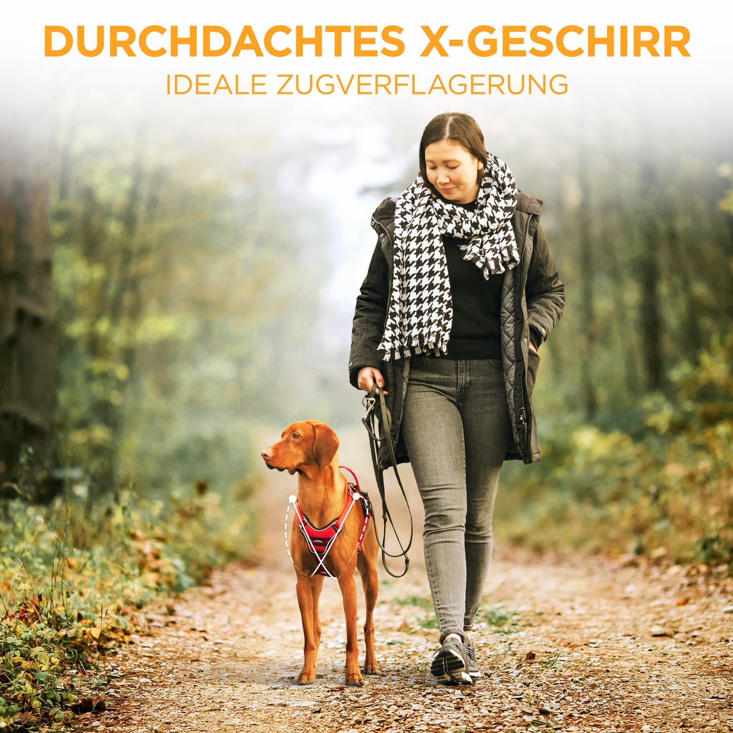 Hundegeschirr Atmungsaktiv