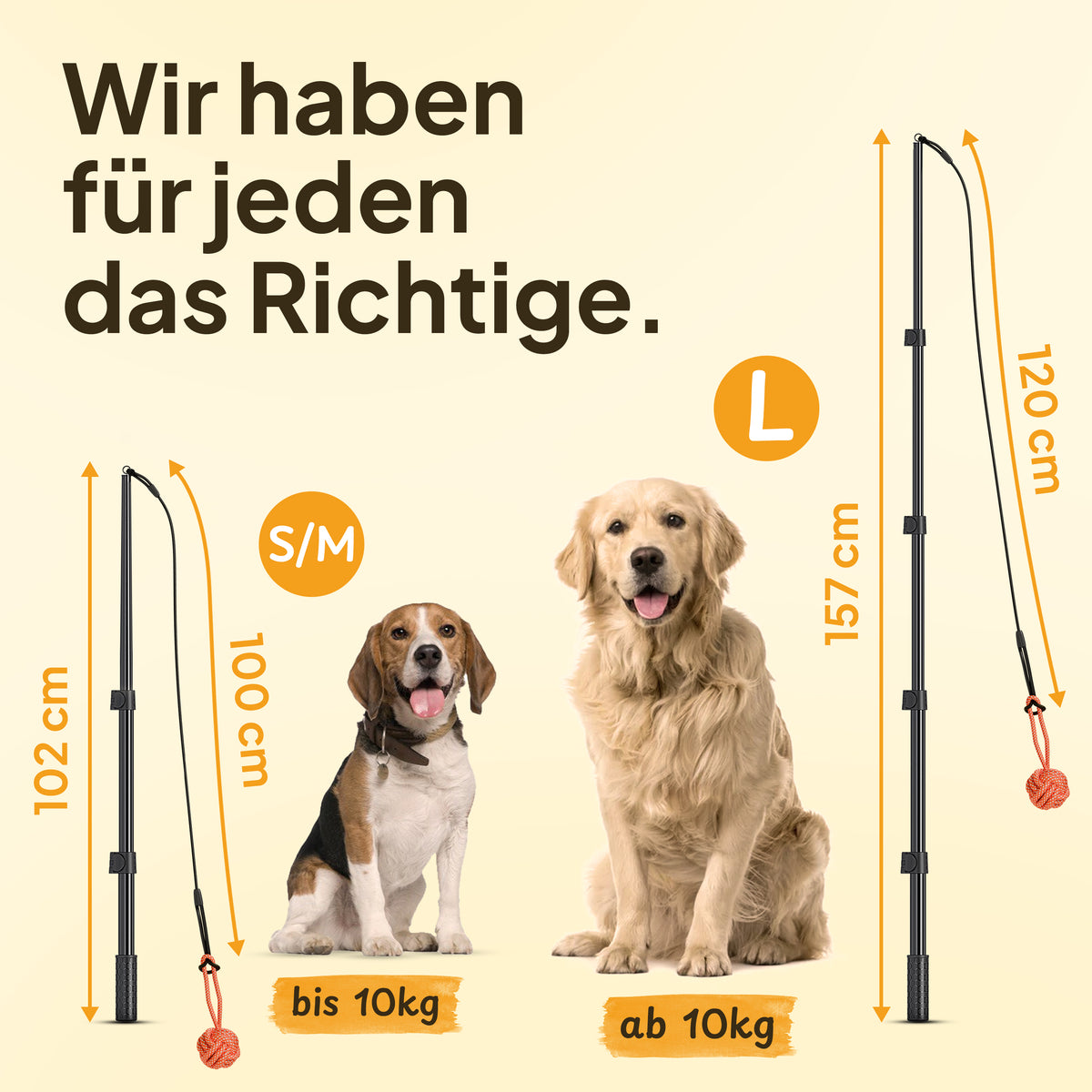 Hundereizangel - für gezieltes Auspowern
