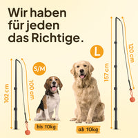 Hundereizangel - für gezieltes Auspowern