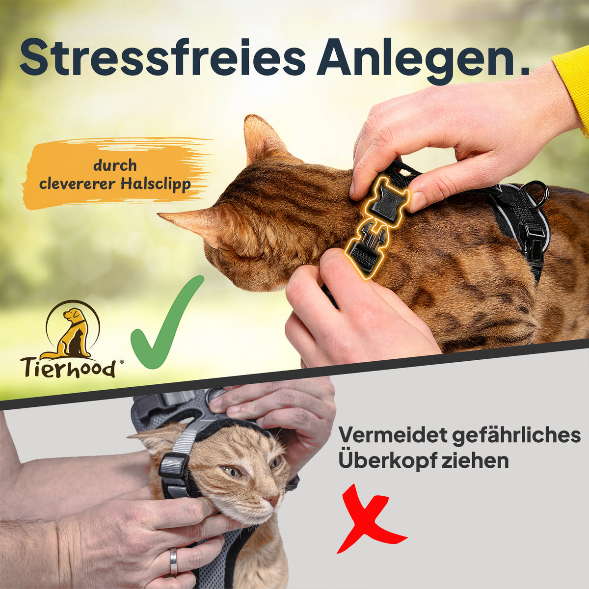Katzengeschirr