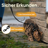 Katzengeschirr