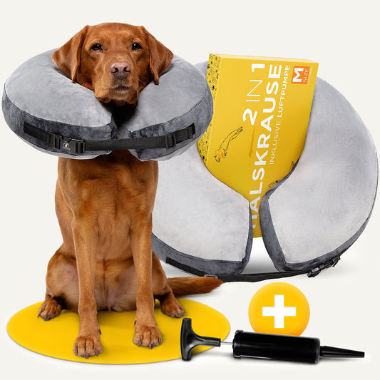 Halskrause - für schnelle Genesung