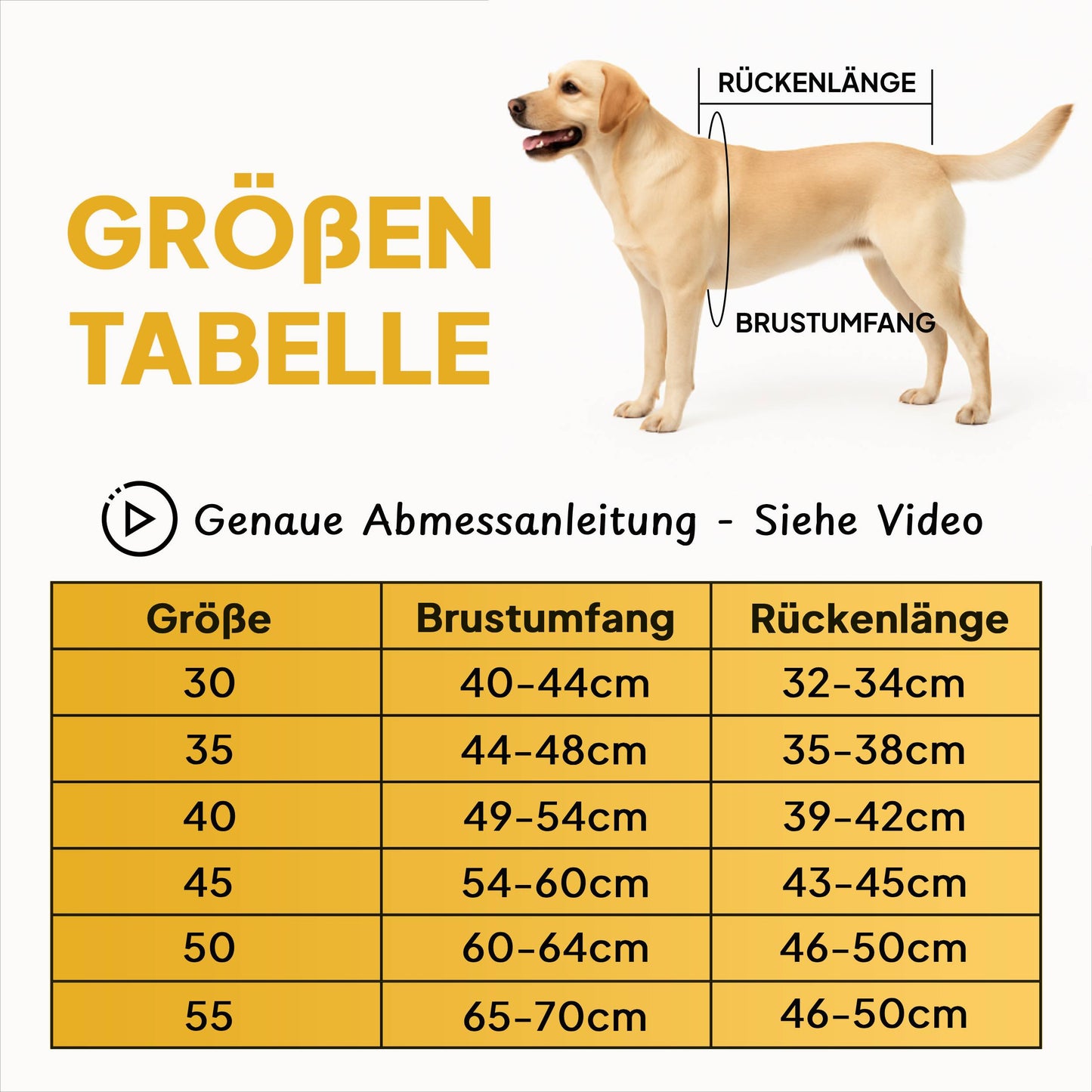 Hundemantel – Allwetter tauglich
