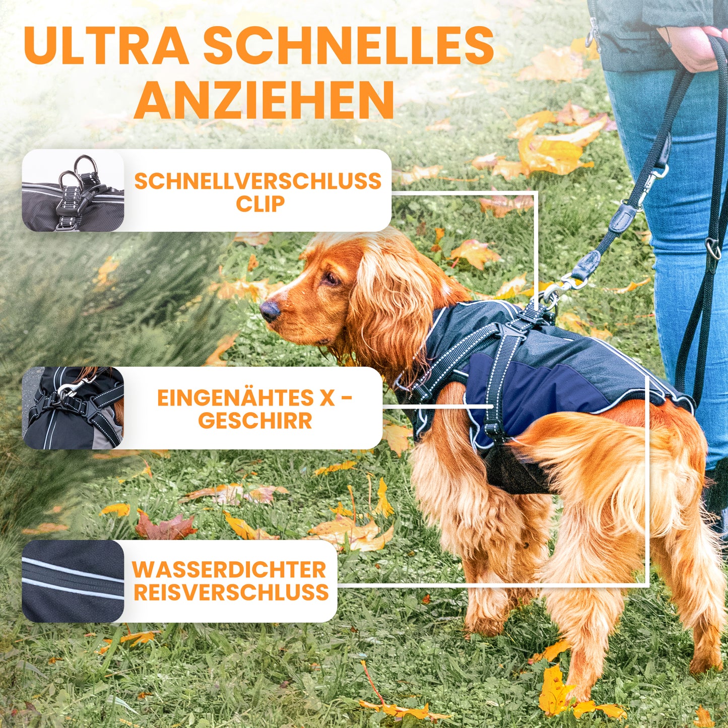 Hundemantel – Allwetter tauglich