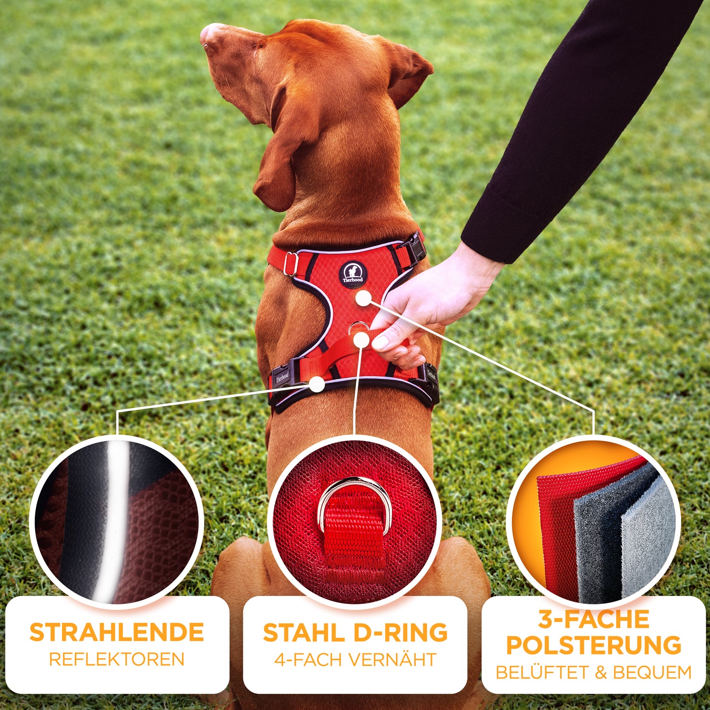 Hundegeschirr Atmungsaktiv