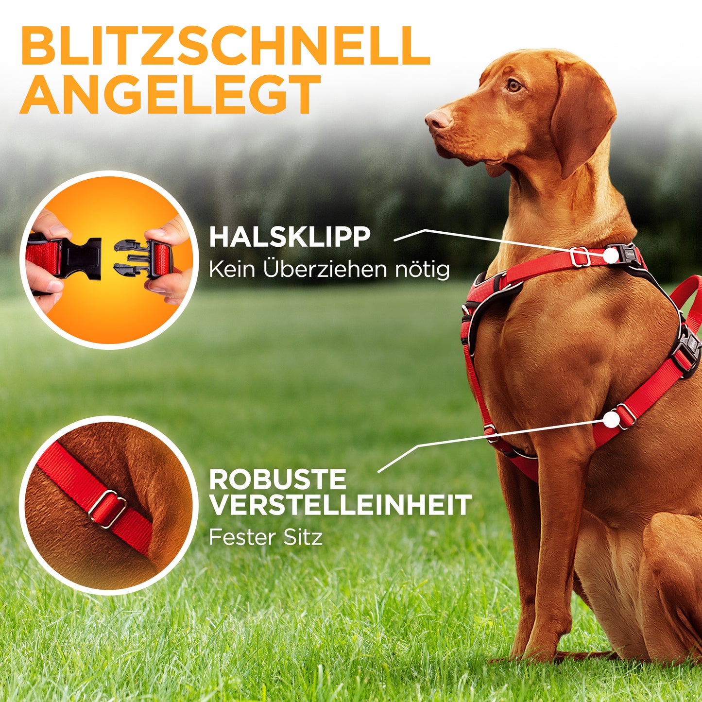 Hundegeschirr Atmungsaktiv