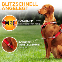 Hundegeschirr Atmungsaktiv