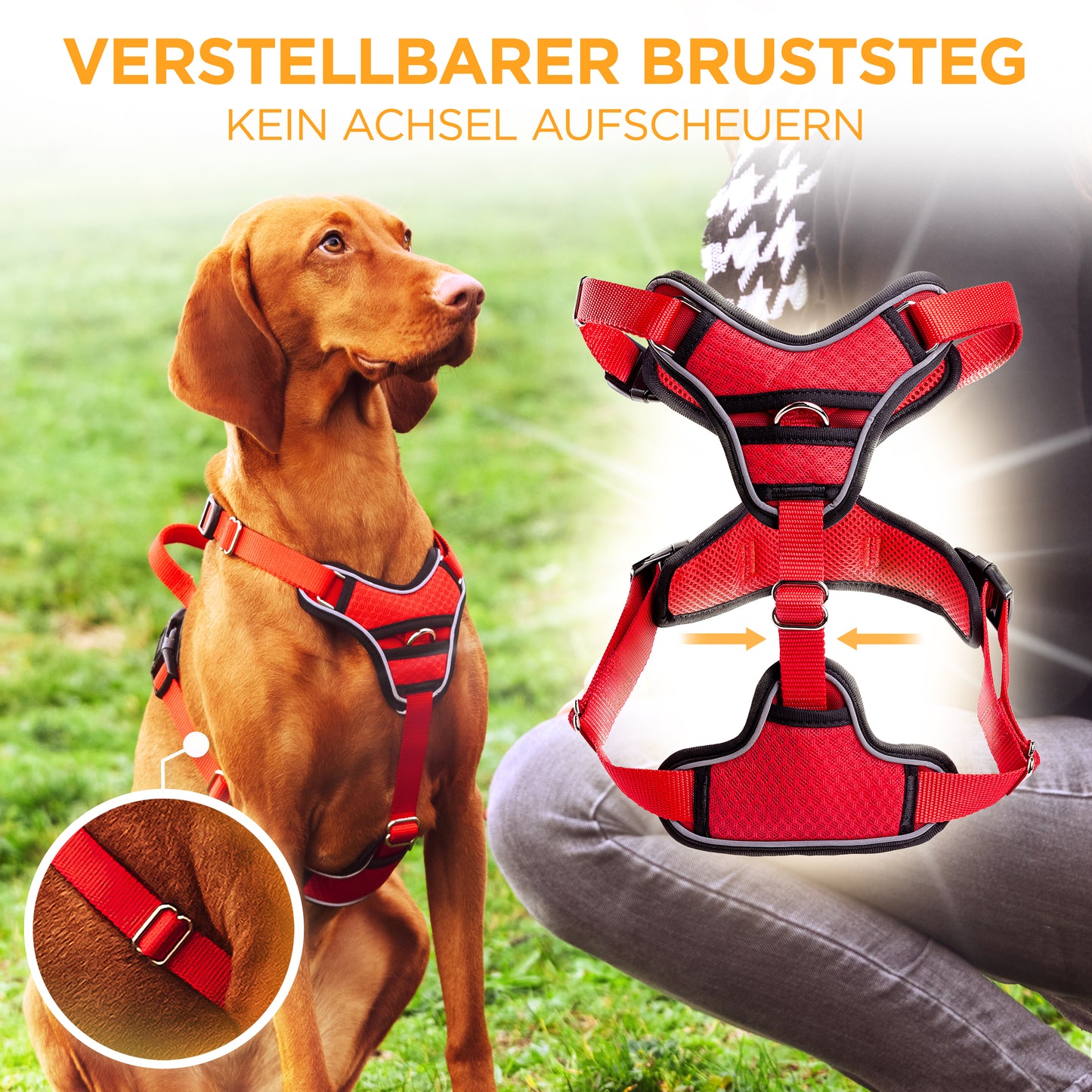 Hundegeschirr Atmungsaktiv