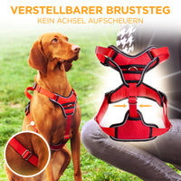 Hundegeschirr Atmungsaktiv
