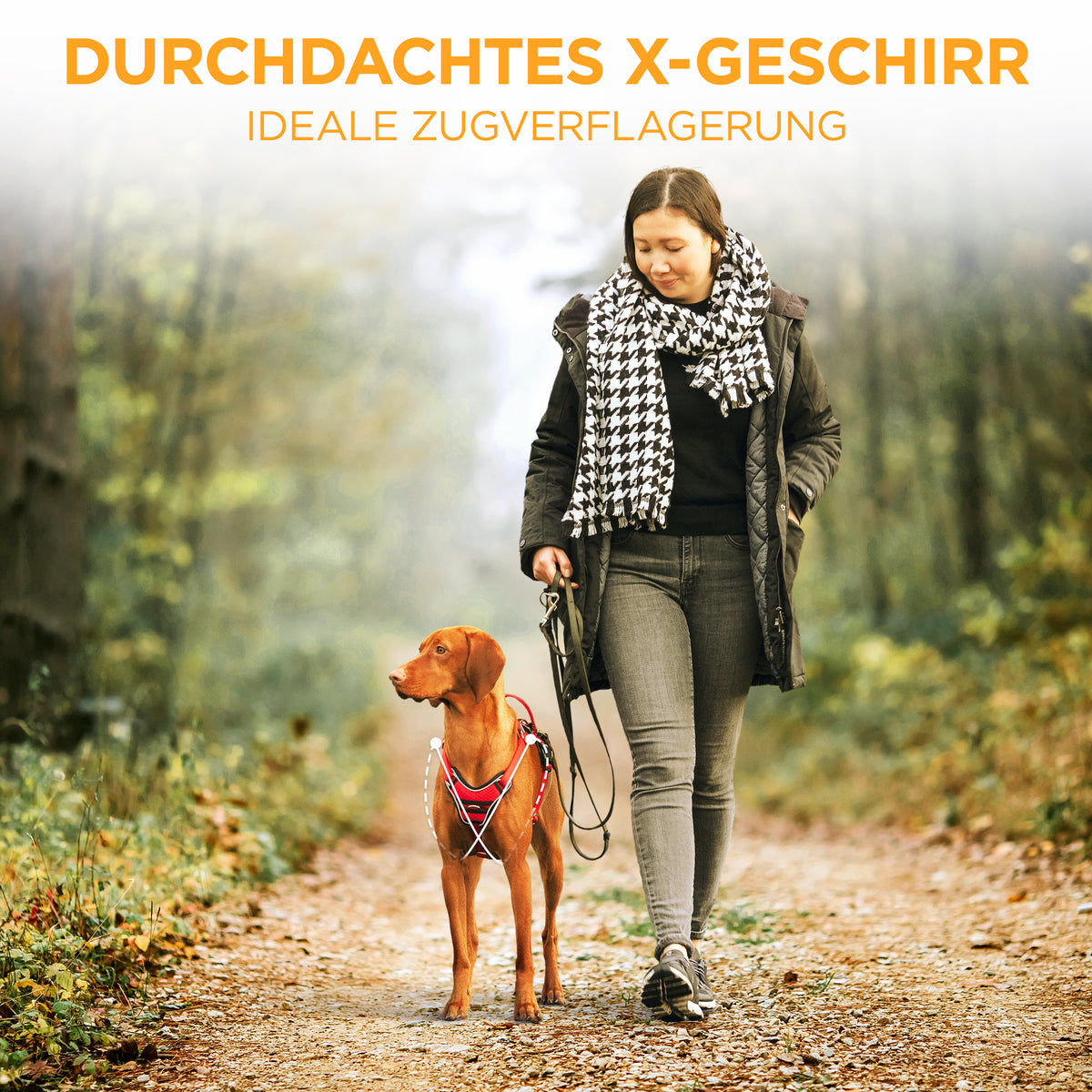 Hundegeschirr Atmungsaktiv