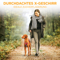 Hundegeschirr Atmungsaktiv