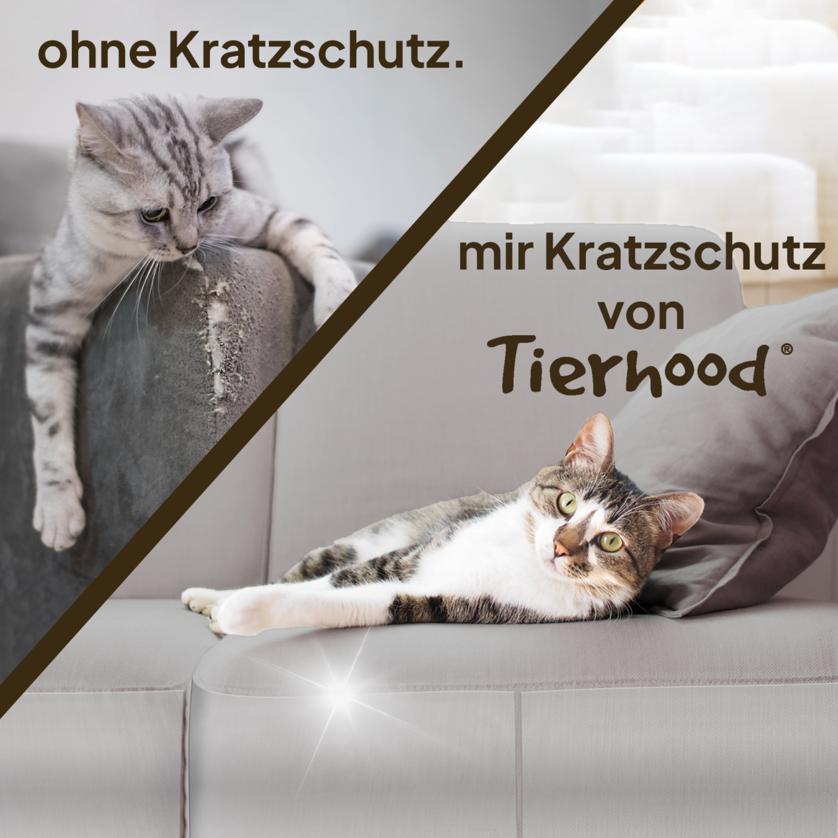 Kratzschutz - Schluss mit Möbelkratzern