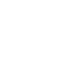 Für jede Hundegröße