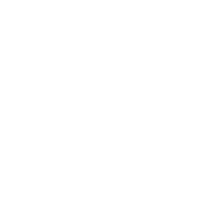 Ideal als Bundle mit Geschirr