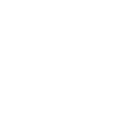 Sicher auf Erkundungstour