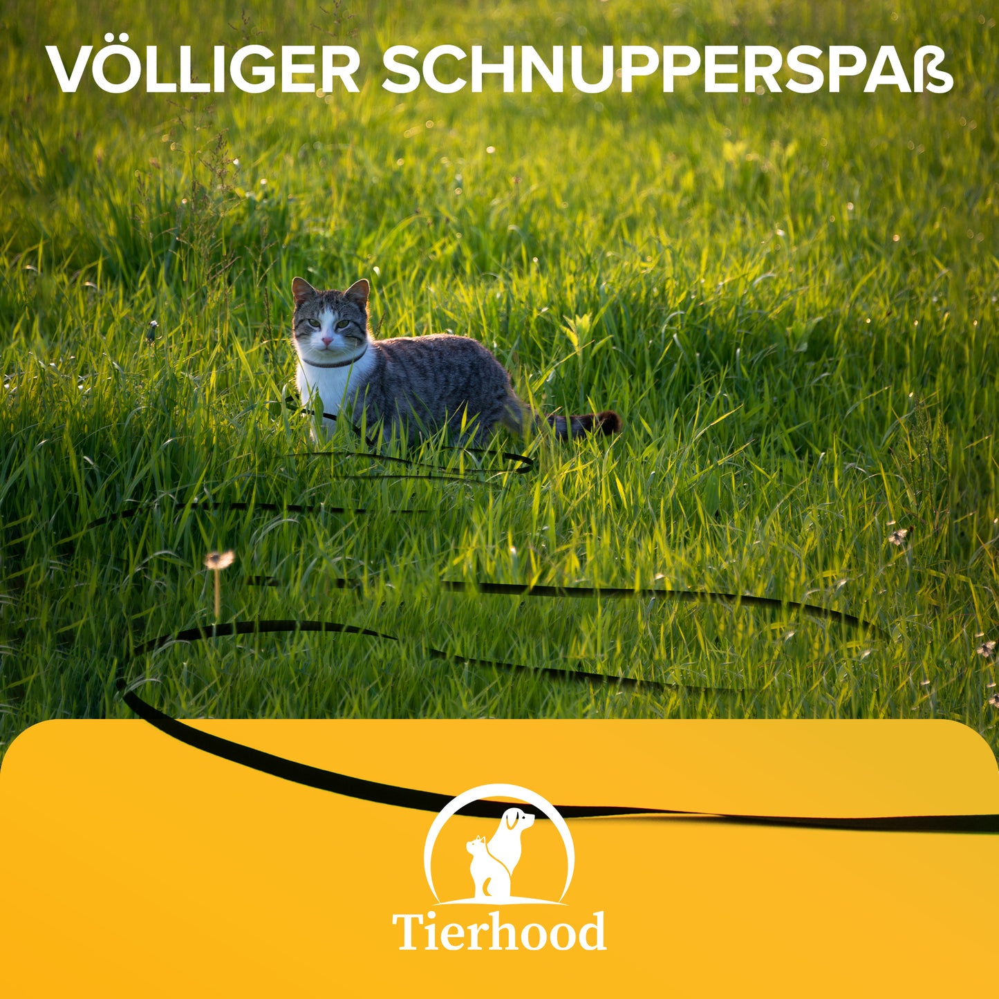 Mini Schleppleine - für mehr Freiheit